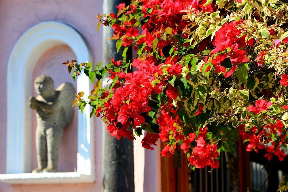 Hotel El Pueblito De Fortin Fortín de las Flores Eksteriør bilde